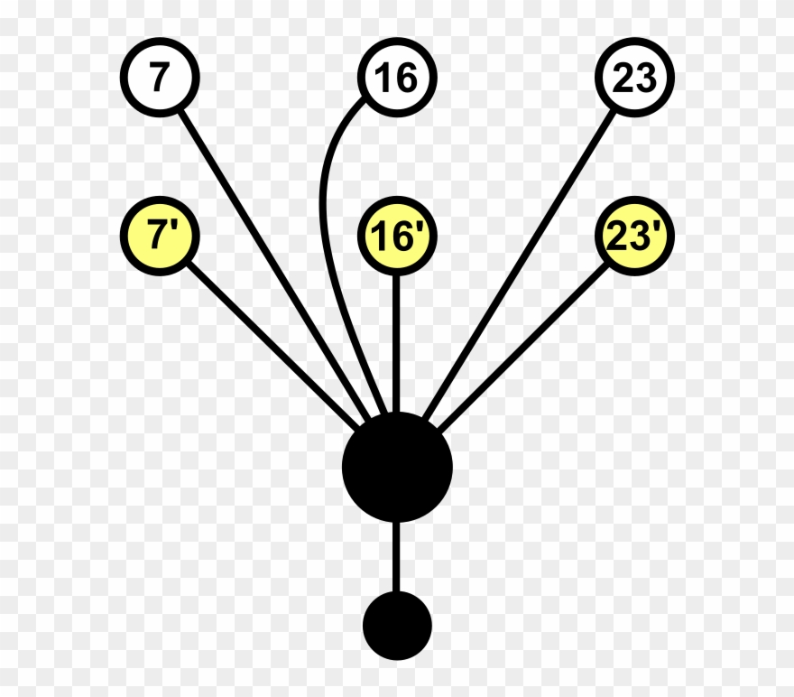 Subgroup Of Oh - Circle Clipart