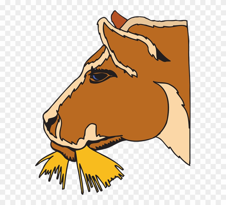 Cow Eating Hay Clipart - Png Download