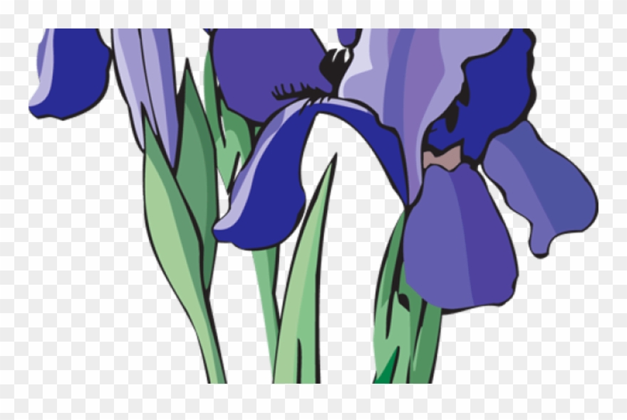 Iris Clipart At Getdrawings - Volunteer State Book Award - Png Download