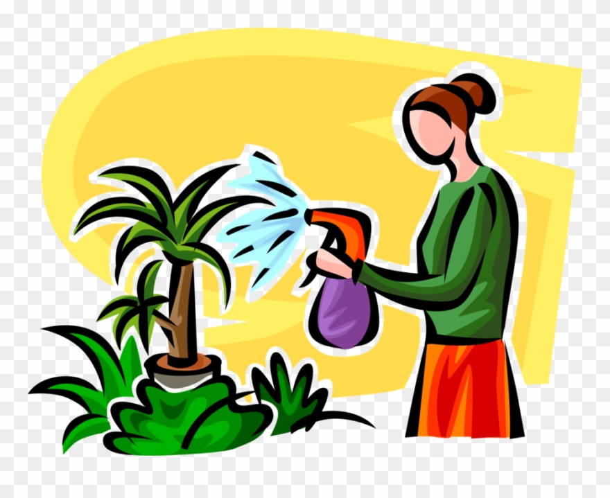 Vector Illustration Of Watering Houseplant Plants With - Annaffiare Le Piante Clipart - Png Download