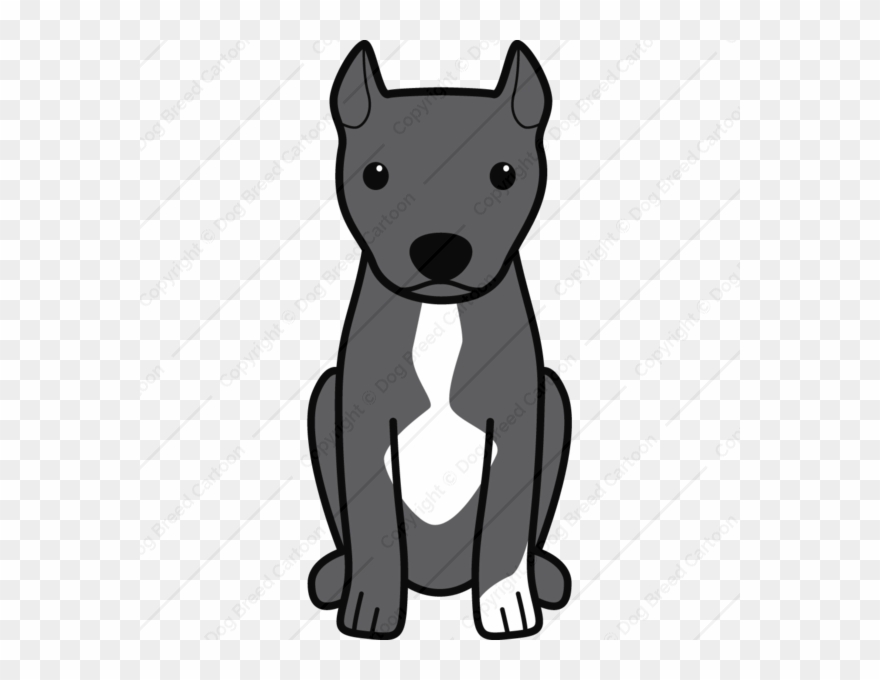 American Pitbull Terrier Cropped Ears - Cartoon Pitbull Clipart