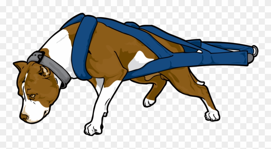 Pitbull Weight Pulling Vector Clipart