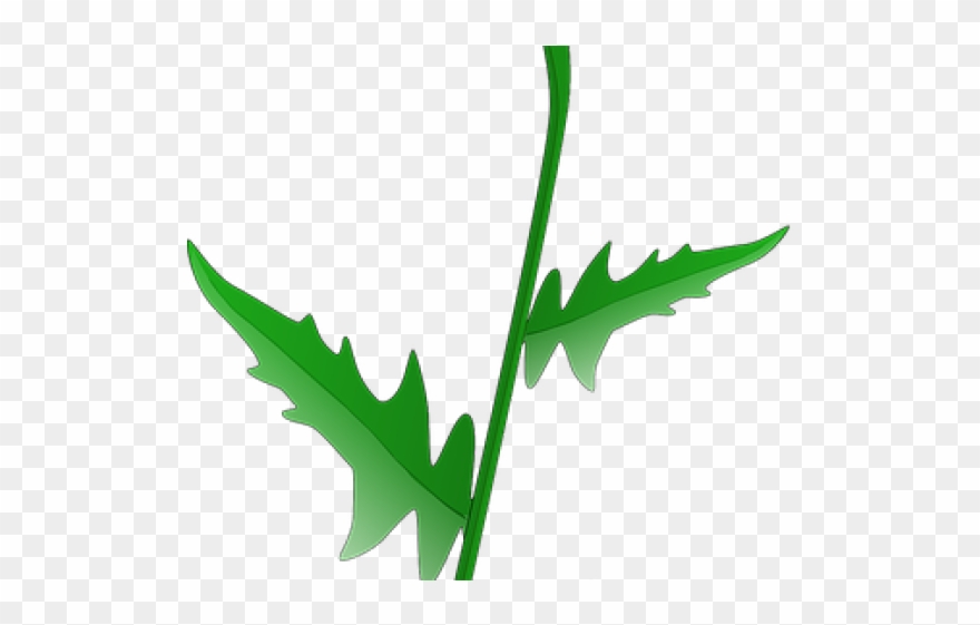 Daisy Clipart Stem - Daisy Clip Art - Png Download