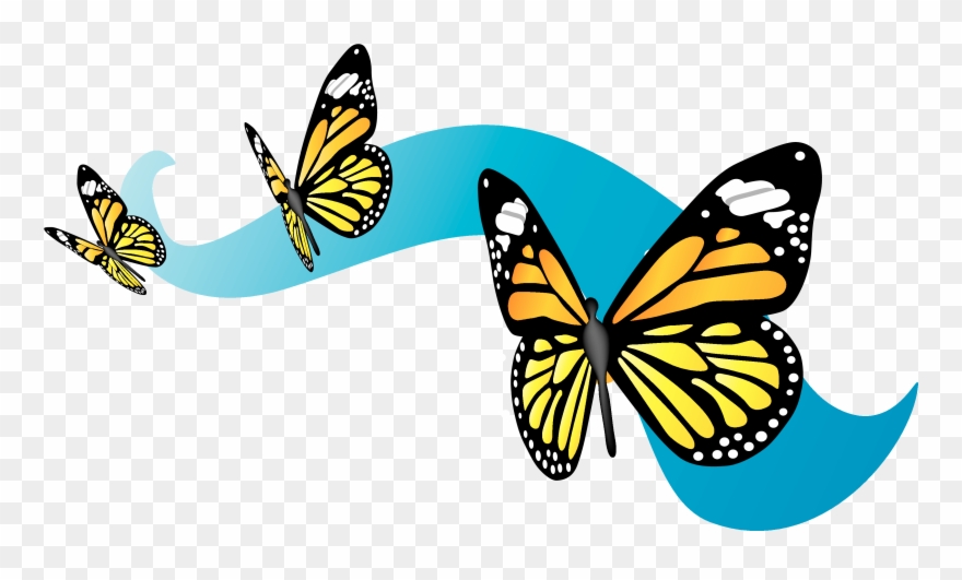 Sister Michelle Simmons Deborah Hill - Monarch Butterfly Migration Clipart - Png Download