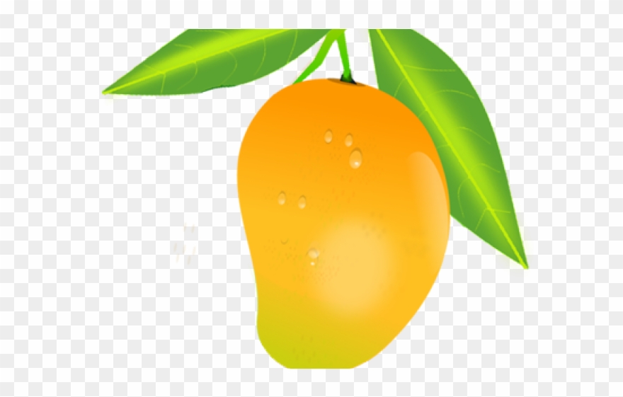 Fruit Clipart Mango - Mango Benefits In Hindi - Png Download