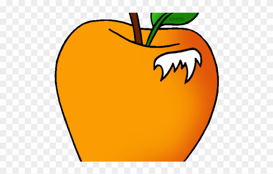 Orange Fruit Clipart Phillip Martin - Rhode Island - Png Download