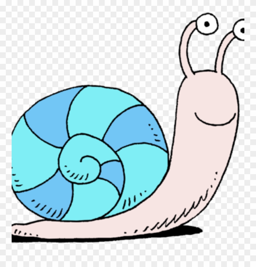 Clipart Snail - Png Download