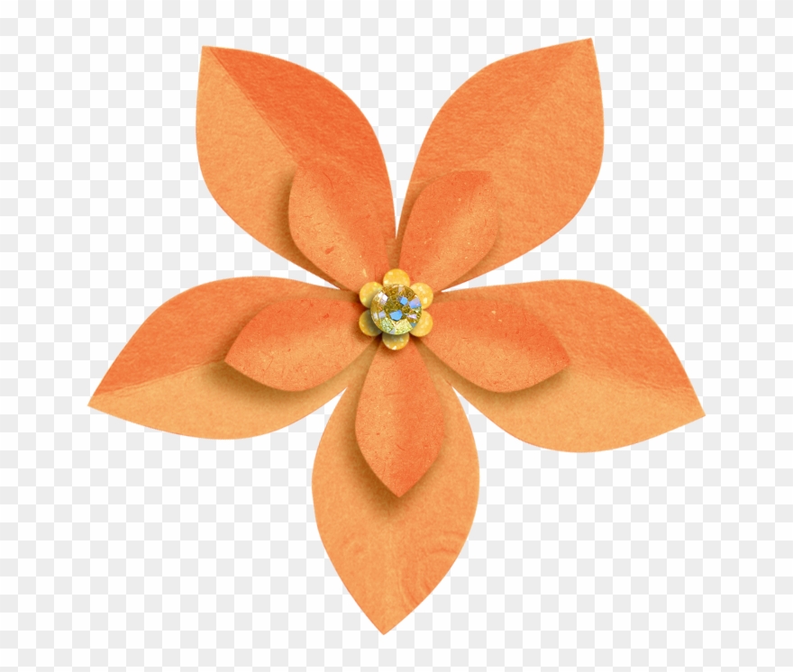 Clip Artflowerillustrations - Html - Png Download
