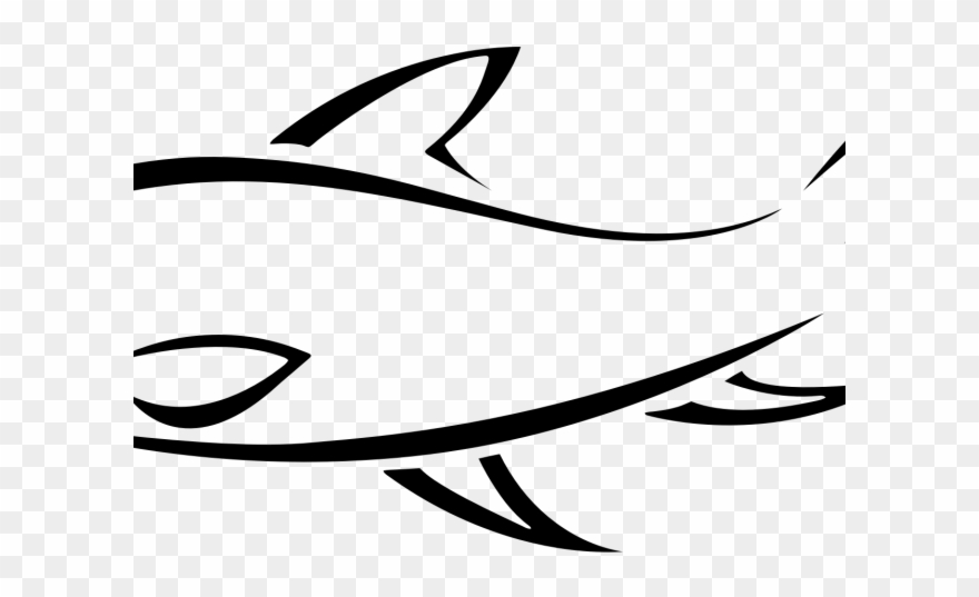 Fish Line Art - Fish Drawing Transparent Clipart