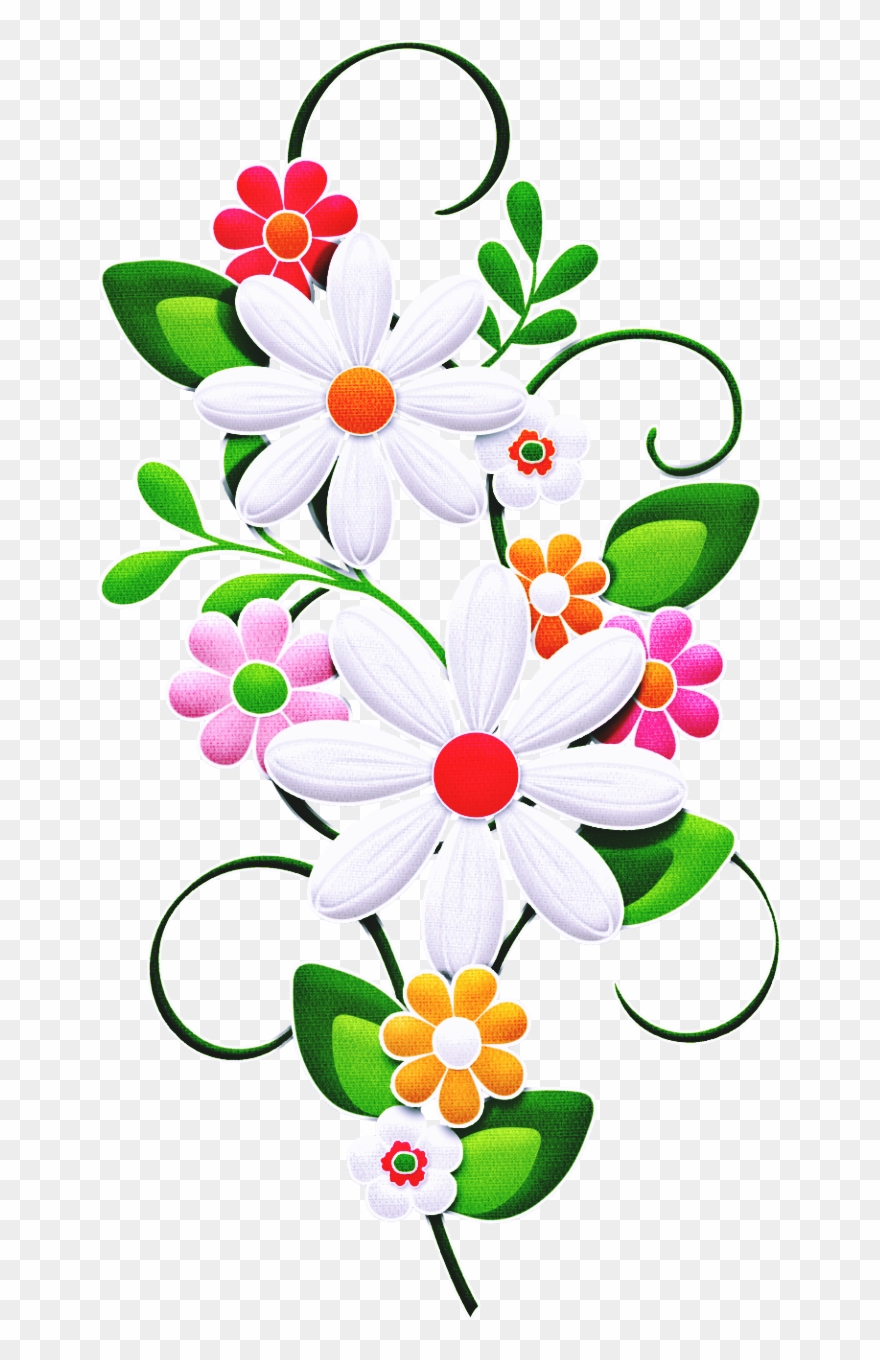 Transparent Flowers, Flower Bar, Planting Flowers, - African Daisy Clipart