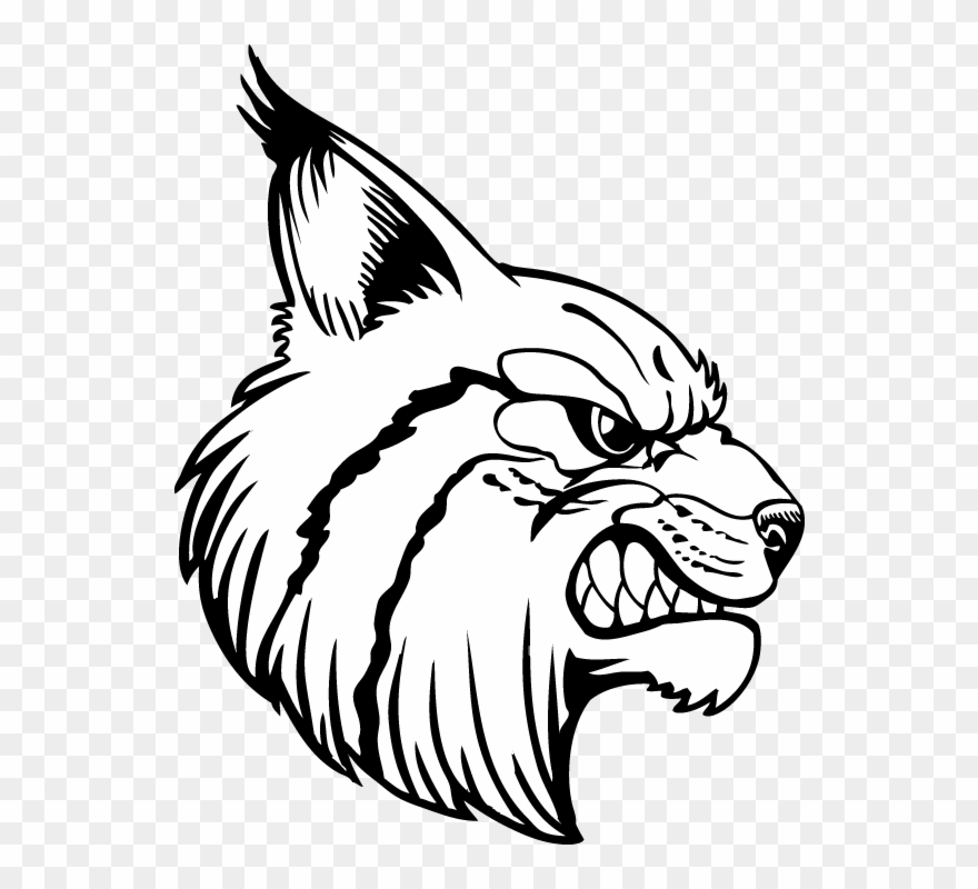 Baw Bobcat 16 R - Cartoon Clipart