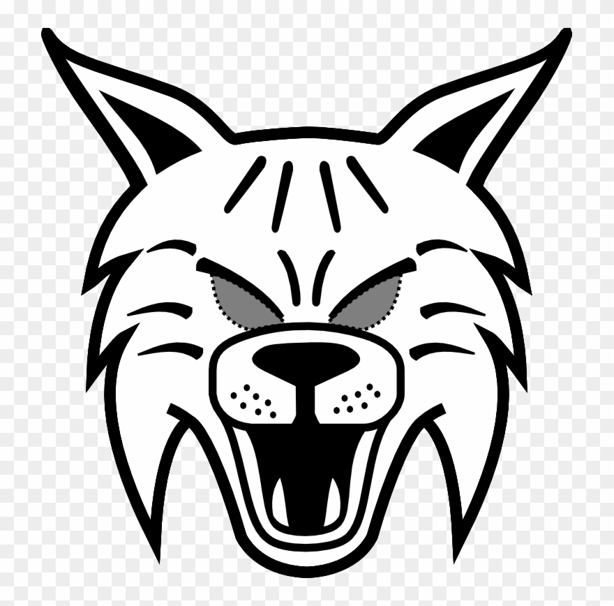 Image Huge Collection Of Bobcats - Draw A Wildcat Face Easy Clipart