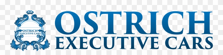 Ostrichexecutive - Graphics Clipart