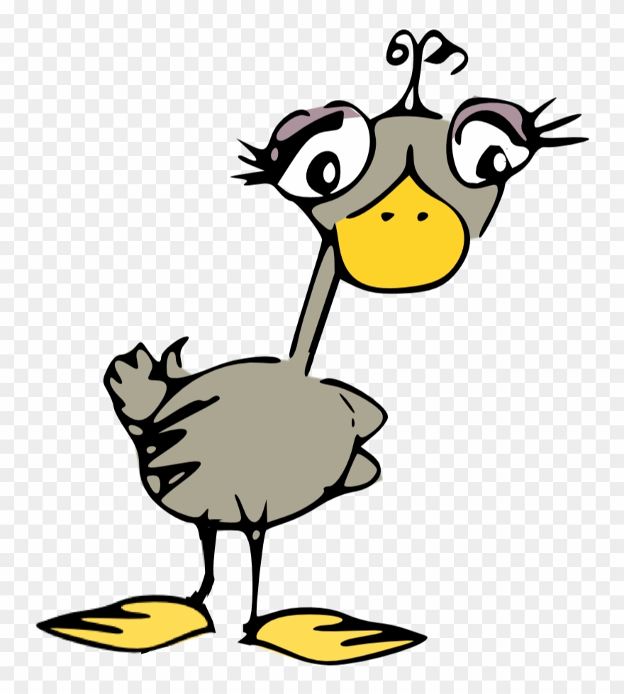 Scrap Bird Doodle Png - Silly Bird Clipart Transparent Png