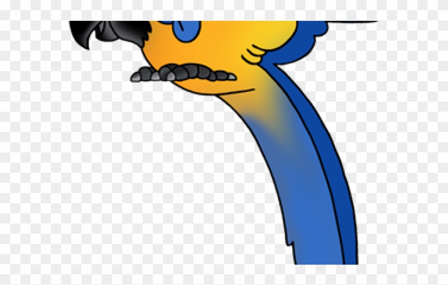 Rainforest Animals Clipart - Macaw - Png Download