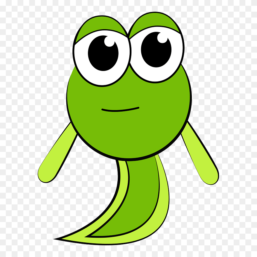 Rainforest Clipart Tadpole - Kecebong Png Transparent Png