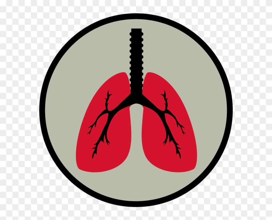 Airway/breathing - Lung Pick Up Lines Clipart