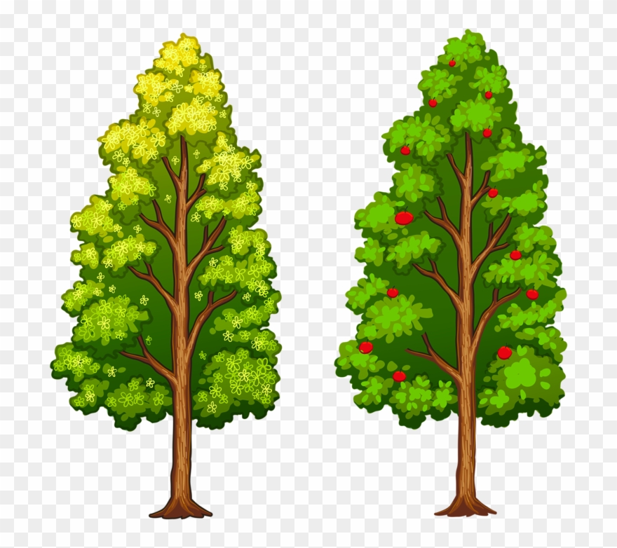 Фотки Tree Leaves, Tree Of Life, Flower Clips, Paper - Diferentes Tipos De Árvores - Png Download