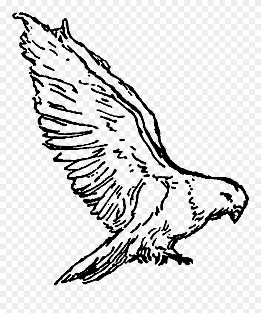 Clipart Kite Digital - Buzzard - Png Download