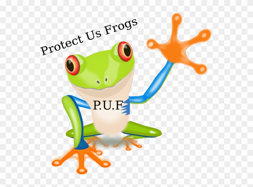 Cafepress Red Eyed Tree Frog Throw Pillow Clipart