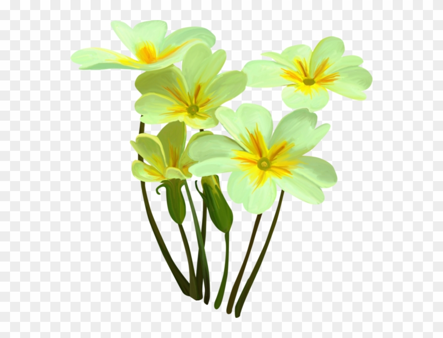 Bouquets, Flowers, Tube, Flowers Bouquets, Bouquet - Watercolor Painting Clipart