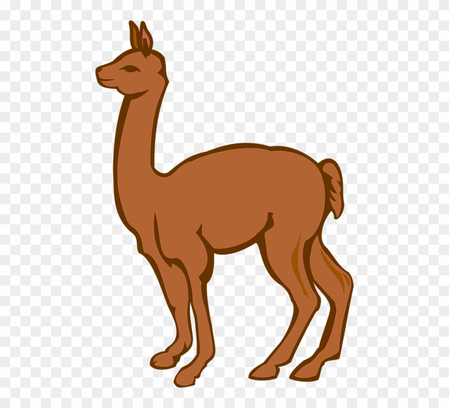 Llama Clipart Baby Llama - Imagenes De Alpacas Animadas - Png Download