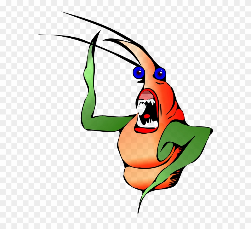 Cricket Clipart Sad - กุ้ง โก ส การ์ตูน - Png Download