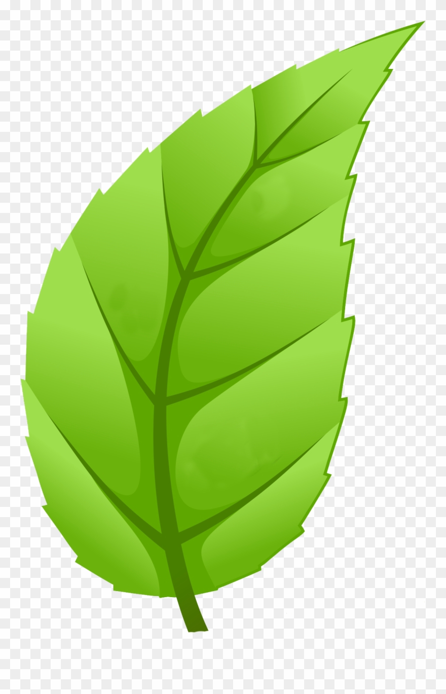 Healthy Communities - Leaf Trees Png Clipart