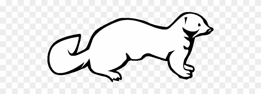 Ferret Clipart Mink - Ferret Clipart Black And White - Png Download