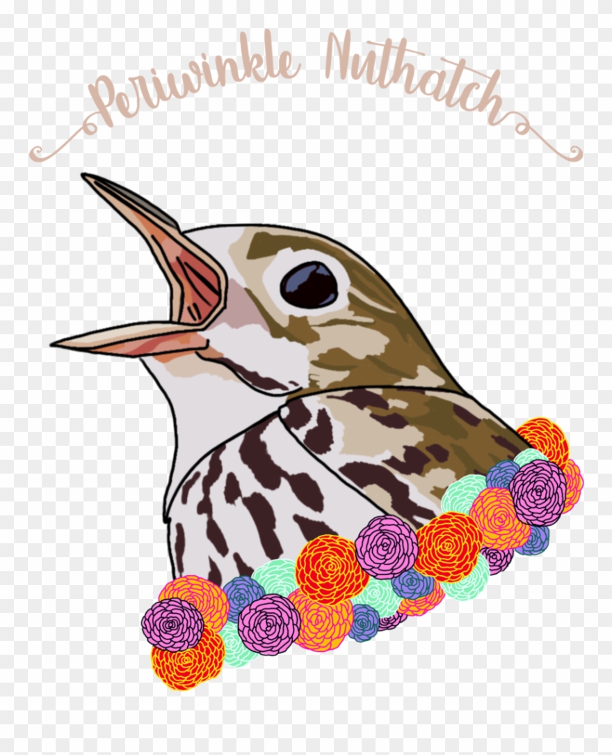 Best Friends Animal Collection - Sittidae Clipart