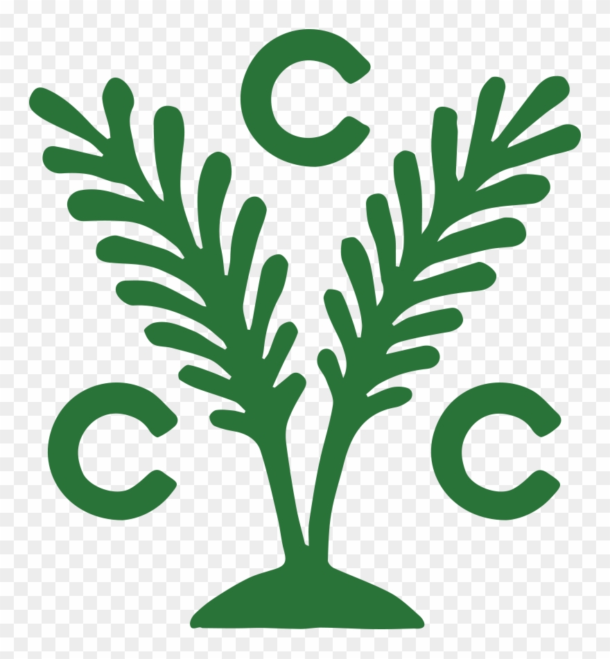 Caclcutta Cricket Club - Calcutta Cricket Club Clipart