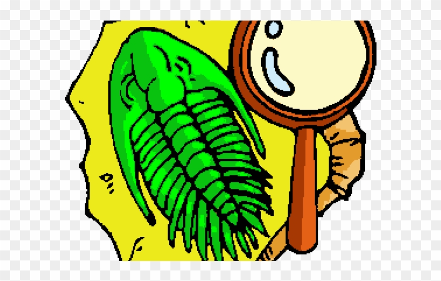 Fossil Clip Art - Png Download