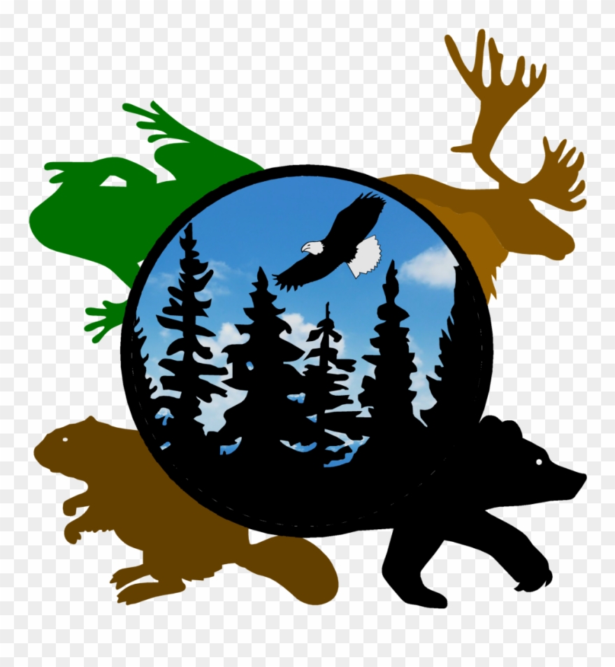 Frog Stencil Made From 4 Ply Matboard Clipart