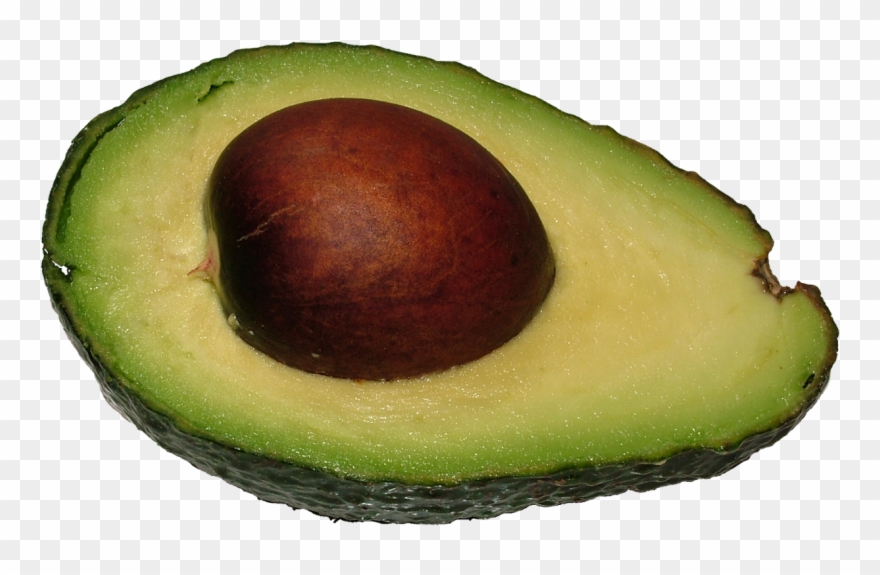 Nuts Clipart Avocado - Avocat Fruit En Anglais - Png Download