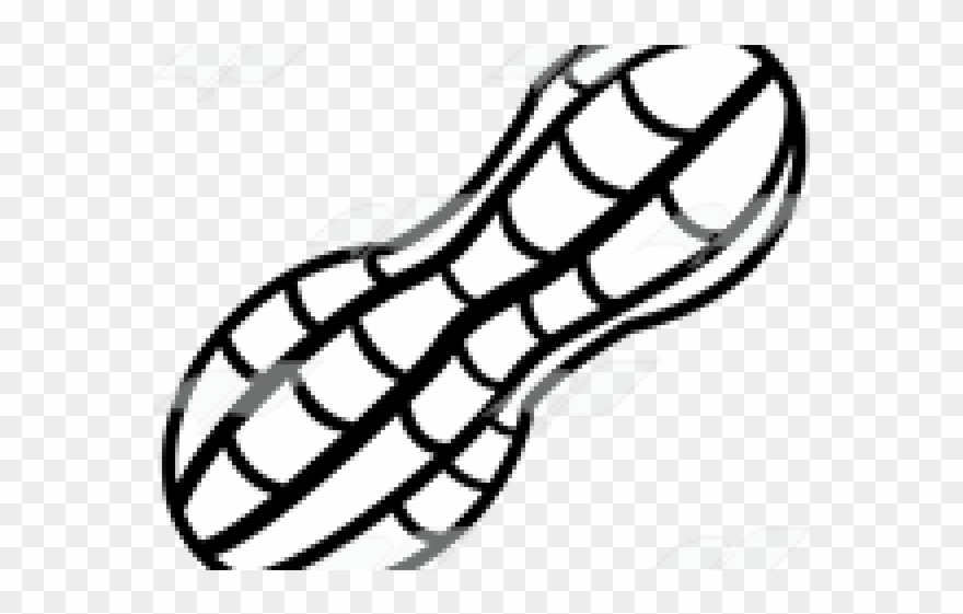 Peanut Clipart Outline - Infant Bodysuit - Png Download