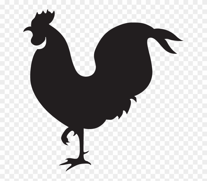 Kidsline Clothesline Range - Gallo Vector Clipart