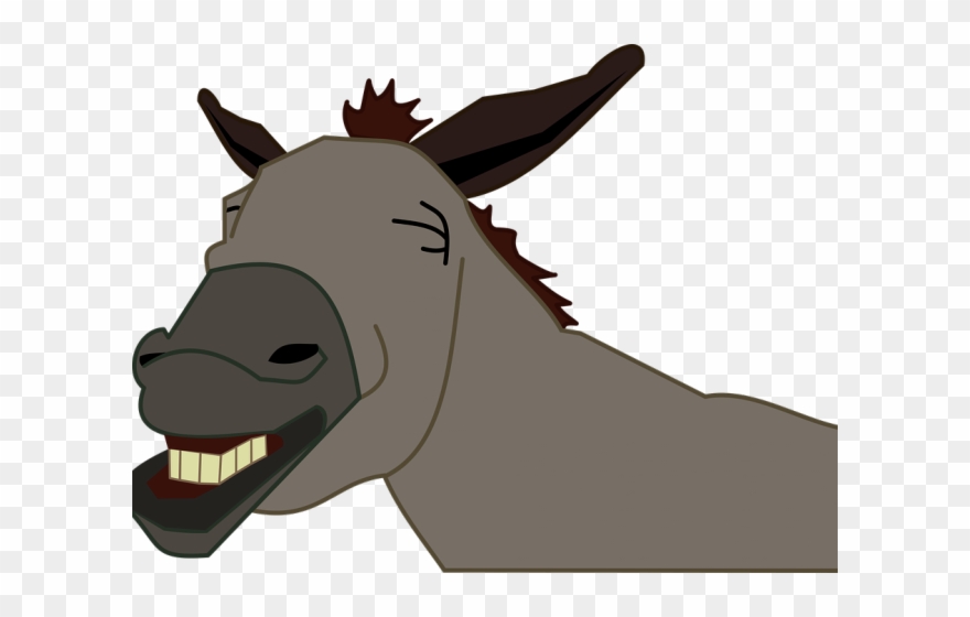 Jackass Clipart Mule Head - Clipart Donkey - Png Download
