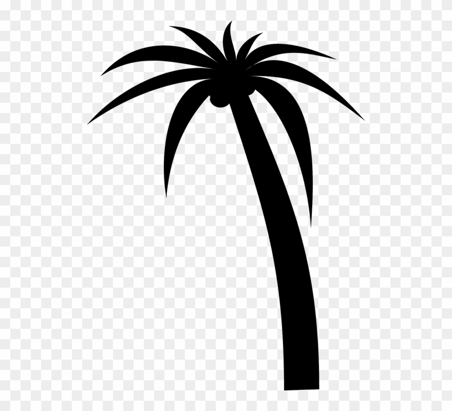 Bark Clipart Clipground Free - Red Palm Tree Png Transparent Png