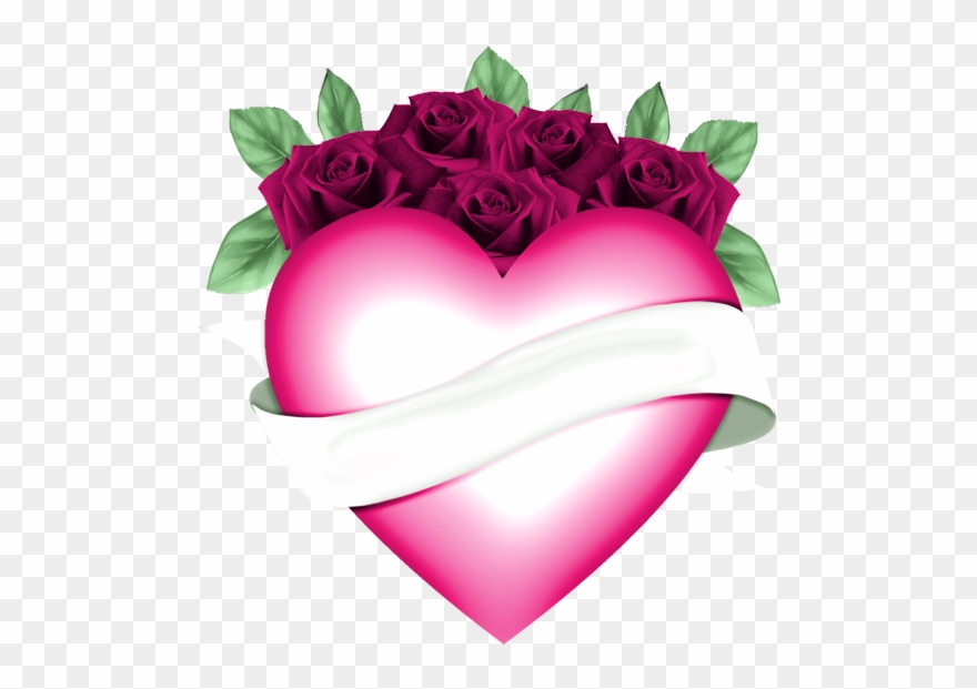 Frame, Heart, Youtube, Polyvore, Love, Channel, Clip - Garden Roses - Png Download