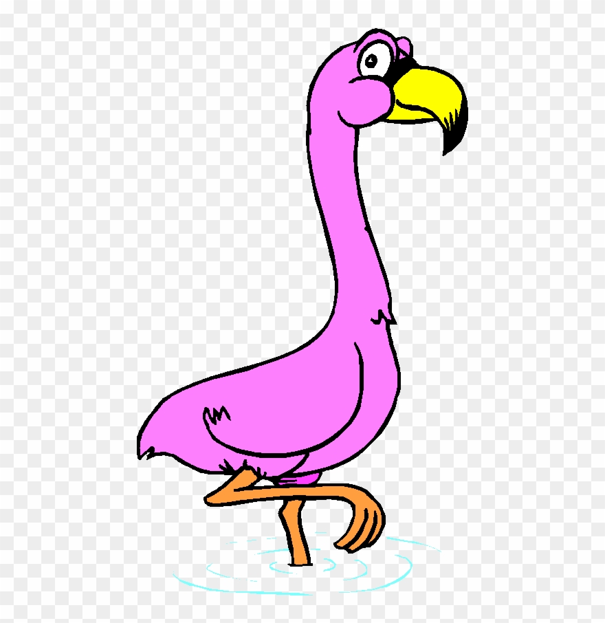 Welcome To Mrs - Flamingo Animated Gif Clipart