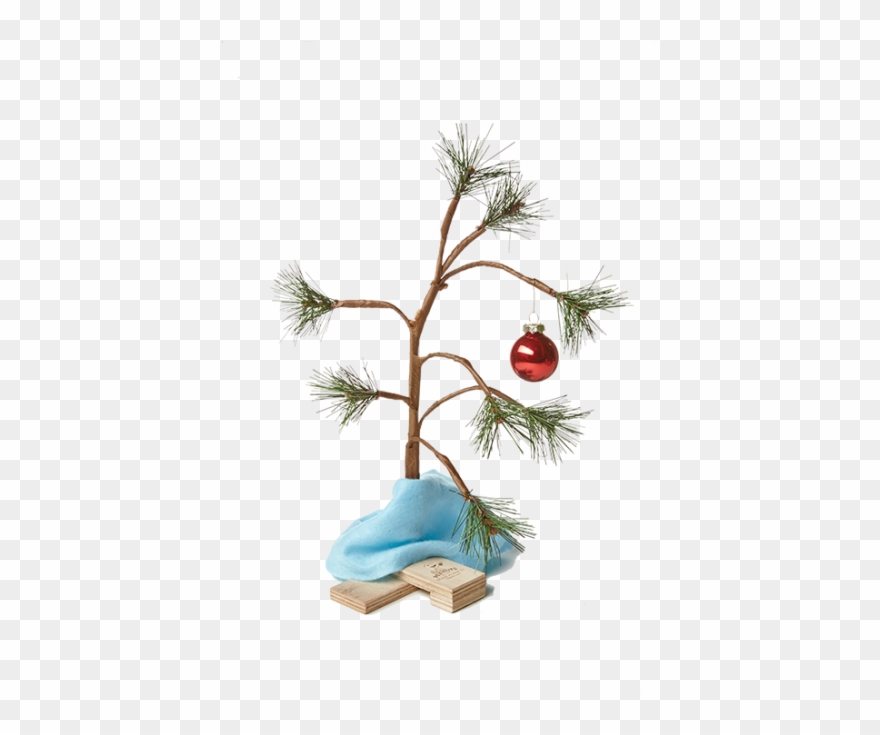 Charlie Brown Christmas Tree Png - Transparent Charlie Brown Tree Png Clipart