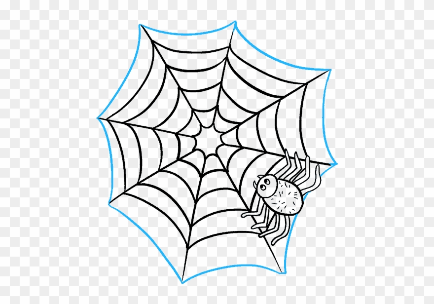 How To Draw Spider Web With Spider - Spider Web Drawing Clipart