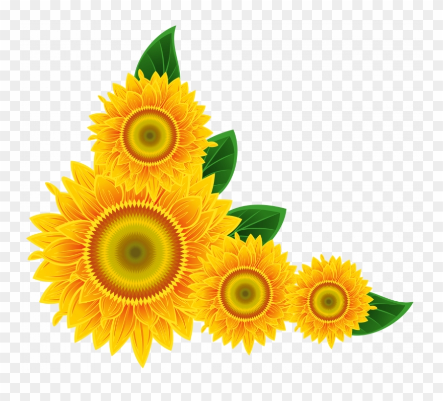 Sunflower Corner Border Png Clipart