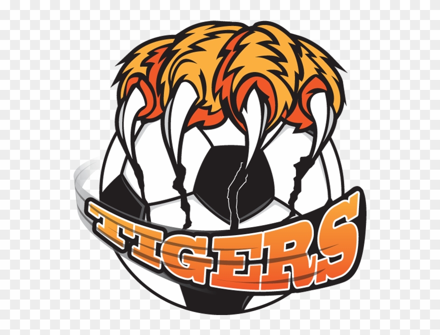 Tigers, Logos, Google Search, Club, Tiger Logo, Soccer - Tiger Team Logo Png Clipart
