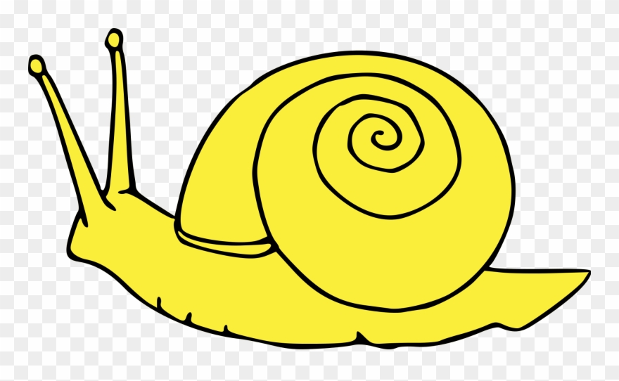 Open - Yellow Snail Clipart - Png Download