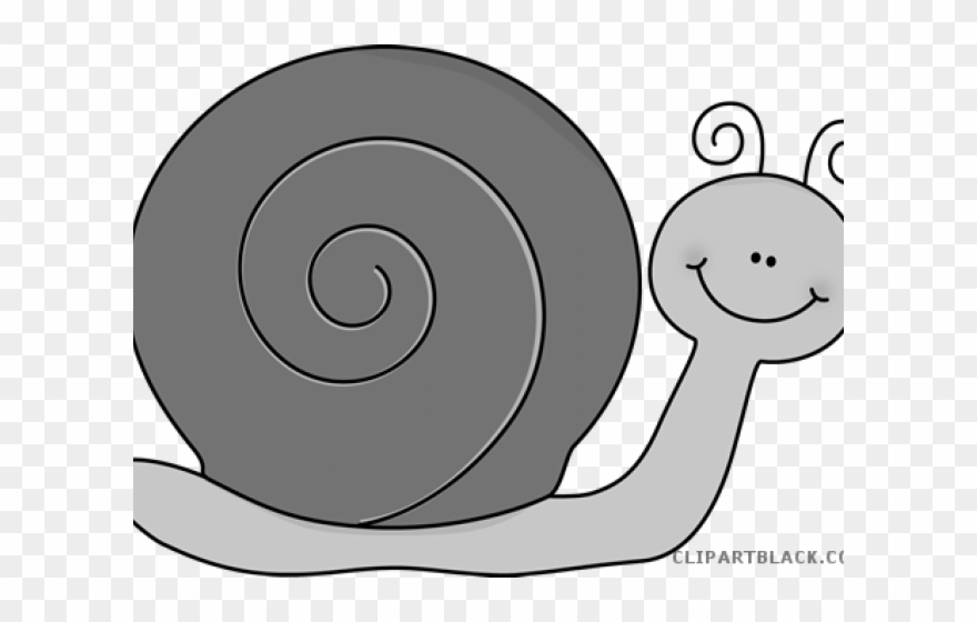 Snail Clipart Cute - Drawing - Png Download
