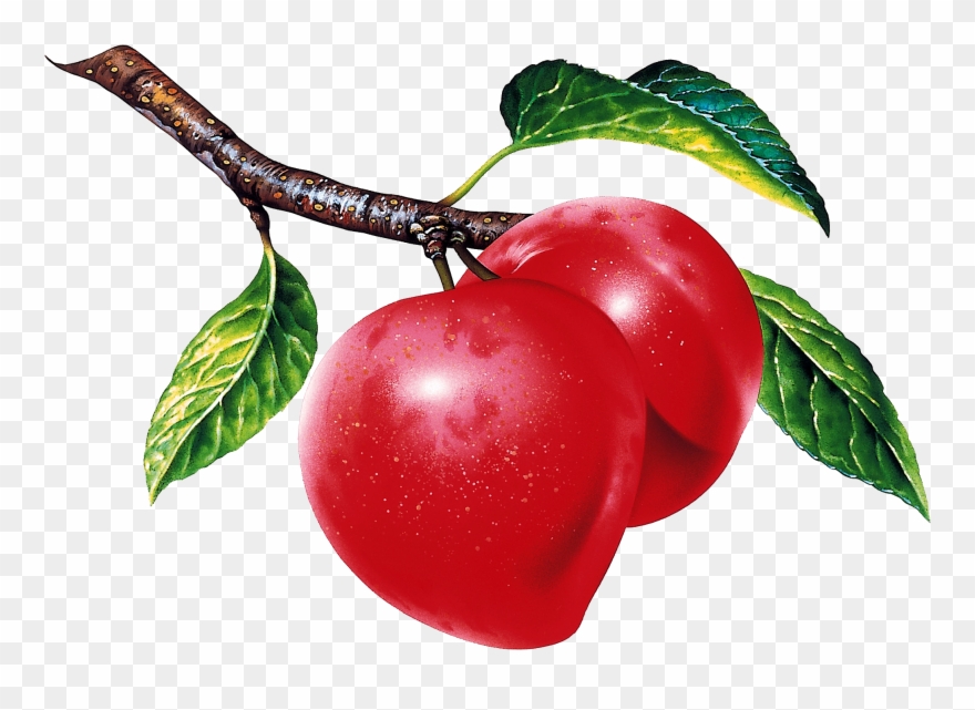Publicat De Eu Ciresica La - Frutos Con Fondo Blanco Clipart