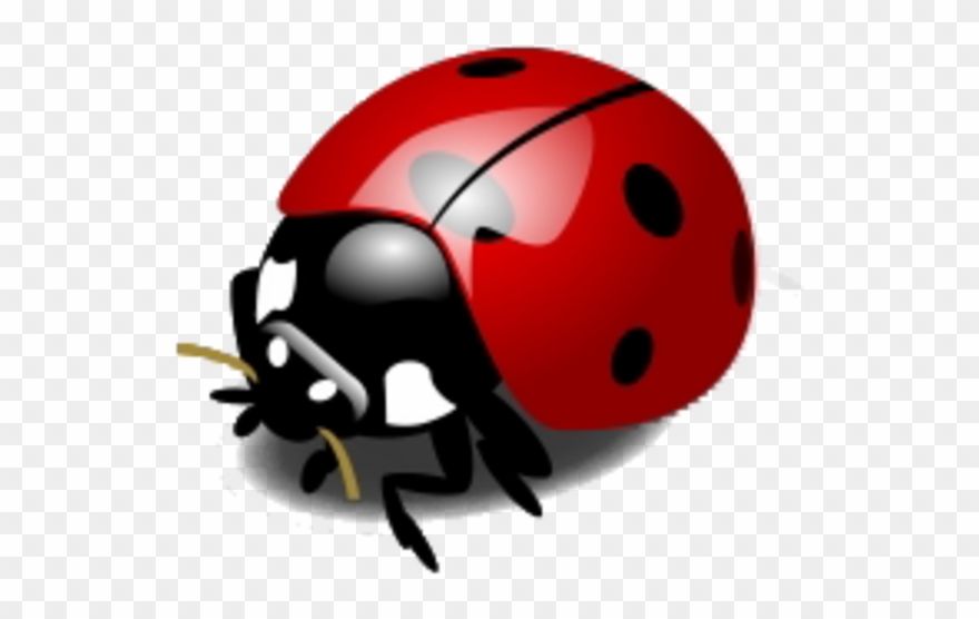 Imagem Relacionada - Ladybird Animation Clipart