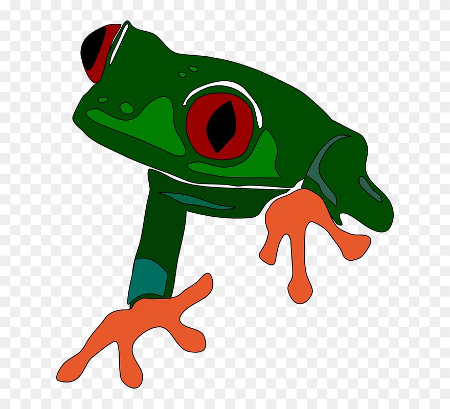Clip Art Tree Frog - Png Download