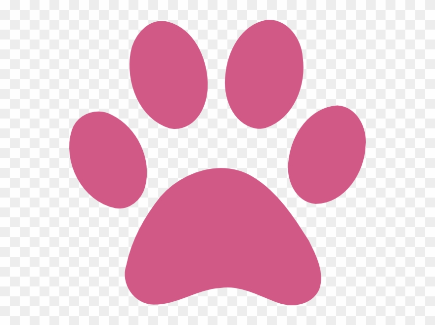 Download - Pink Paw Print Clipart - Png Download